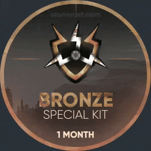 Bronze VIP (1 Month)